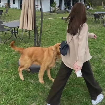 我从诸天万界归来第二季